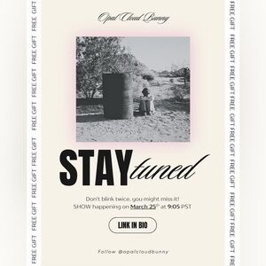 ⭐️⭐️⭐️⭐️⭐️